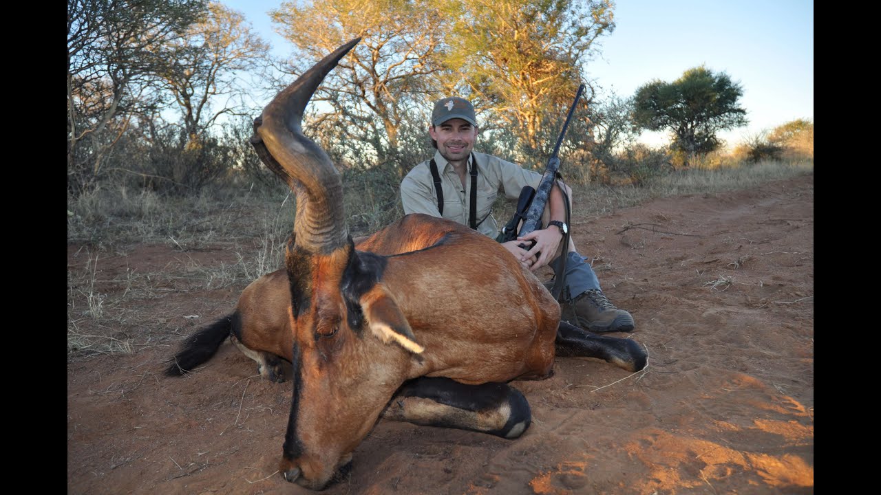 One Tough Hartebeest - South African Hunt with Chad Hall 
