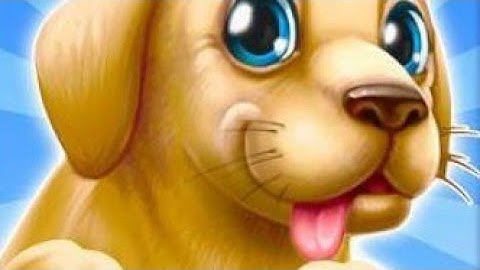 Pet run - puppy dog game