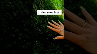 Microcosmos hidden under your feet... 🌱🌳