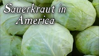 Sauerkraut In Early America - Q&A