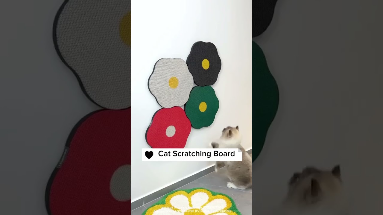 Уникальные вещи, крутые гаджеты, и многое другое - в TG, ссылка в комментариях и в описании канала!