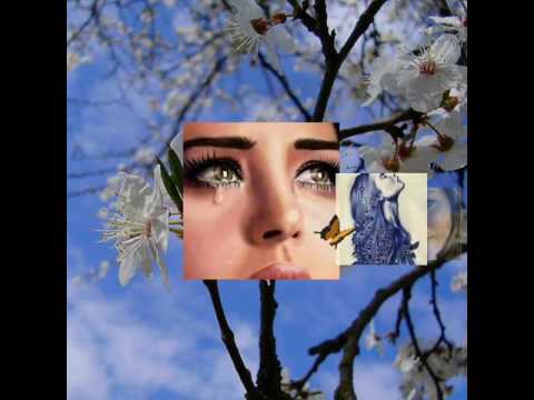 لمياء بعدك عني انتحار