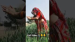 Tejaji DJ Song without Copyright #rajasthanisong