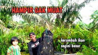 Semua pemikat burung gelatik dan burung ciblek. menjerit liat ini