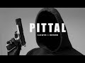 Pittal song  slowed  reverb   ps polist pittal song  withvibe629