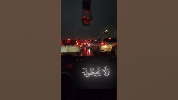 ✦ آيـة الكـرسـى | سورة البقرة | ياسر الدوسرى