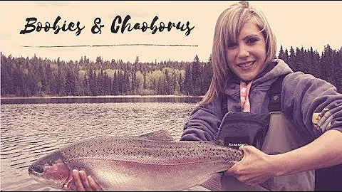 Vokey and Chan - Fly Fishing for Huge Rainbow Trou...