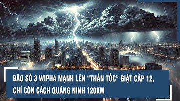 Bão số 3 Wipha mạnh lên “thần tốc” giật cấp 12, chỉ còn cách Quảng Ninh 120km
