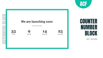 Gutenberg Counter Number Block | ACF Blocks