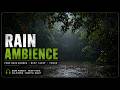 Deep Tropical Jungle Rain Ambience  —  🌧️ Peaceful Sounds for Sleeping, Reading &amp; Focus