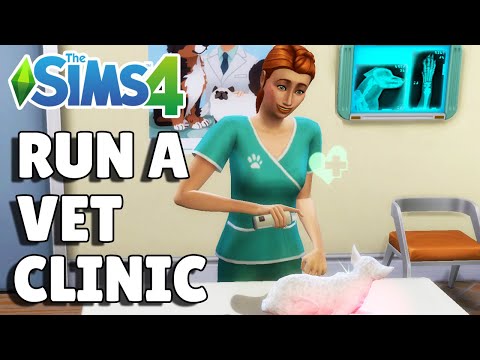 How To Run A Vet Clinic | The Sims 4 Cats & Dogs Guide