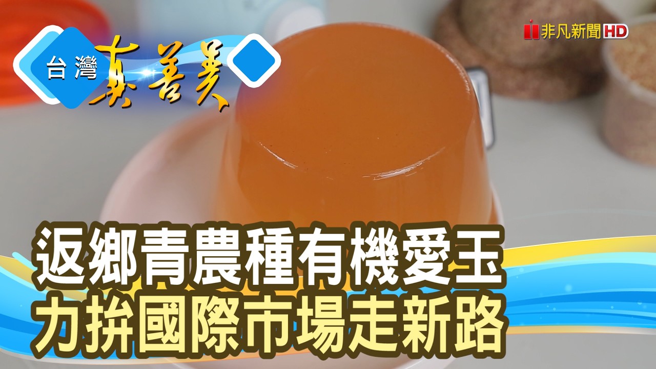 “愛玉之子”的有機翻轉|山水裡天然愛玉|【台灣真善美】2026.08.30 縮圖