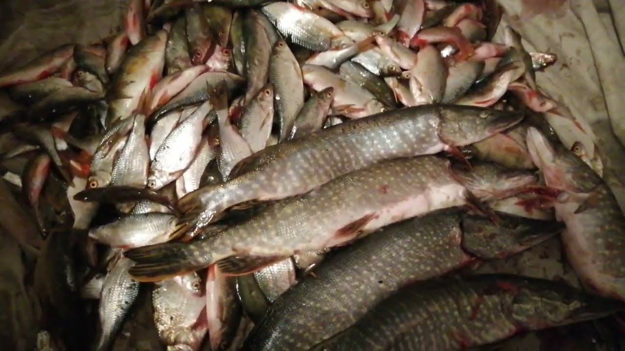 ЛЁД 140 СМ РЫБАЛКА С ШУРУПОВЕРТОМ Heimerdinger LB 176 S