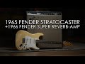 "Pick of the Day" - 1965 Fender Stratocaster and 1966 Super Reverb