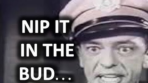 "NIP IT IN THE BUD" - Don Knotts as Deputy Barnie Fife - The Andy Griffith Show montage (non profit)