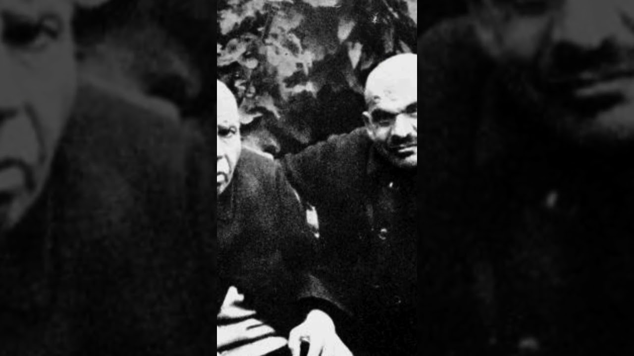 Echoes of the Past: Unveiling the Painful Truths of Action T4 