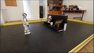 Famous Object and Speech recognition on NAO Robot Net Worth