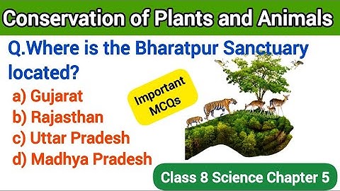 Class 8 Science Chapter 5 Conservation of Plants and Animals|Class 8 Science Chapter 5 |MCQs