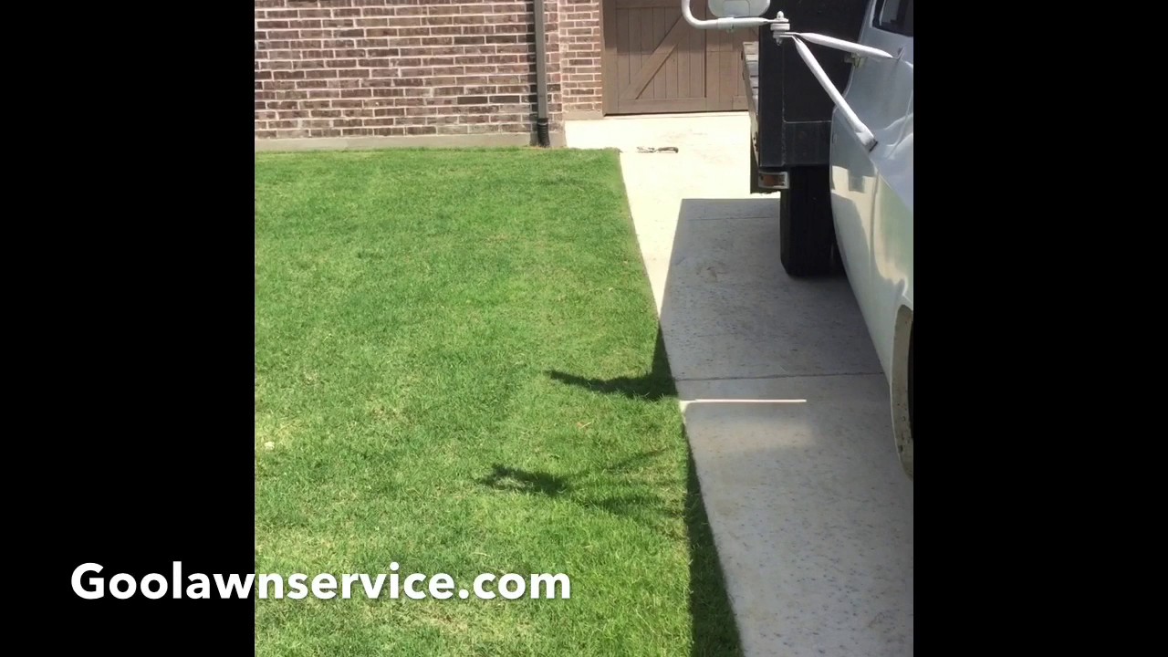 Goo Lawn taking it to the next level!