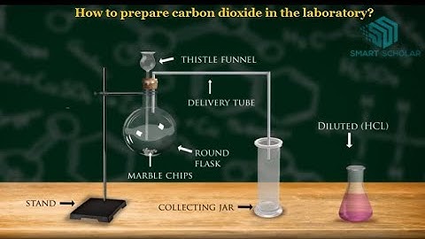 How to prepare carbon dioxide in the laboratory?