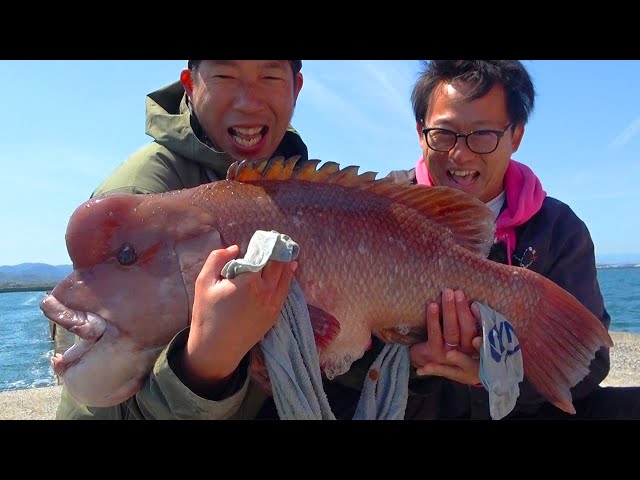 【快挙】初コラボで堤防から10kg超えの怪物が連発した‼