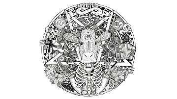 Children Learn @ Bohemia 2015