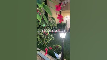 الآيات 217-218-219-220 من سورة الشعراء بصوت الشيخ فارس عباد