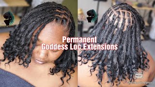 Permanent Boho Goddess Loc Extensions