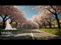 Homeward – Ghibli-Inspired Spring Journey | 봄 드라이브를 위한 감성 피아노 음악