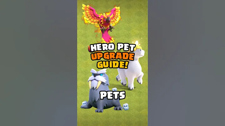 Hero Pet Upgrade Guide For ALL Town Halls! Clash of Clans