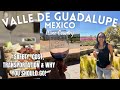 Wine Tasting in Valle De Guadalupe Mexico
