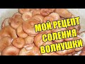 Как я солю грибы. Мой рецепт соления волнушки.