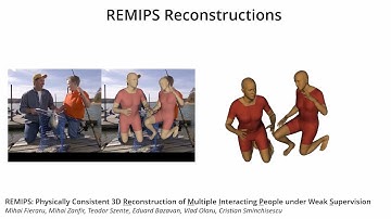 REMIPS Supplementary Material