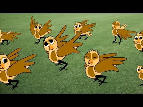 birds-(-aka-animation-invasion-)-live-action-&-animated-short-film
