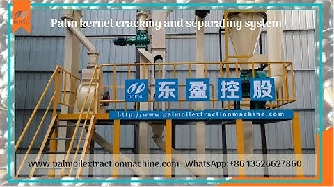 Palm shell kernel separator