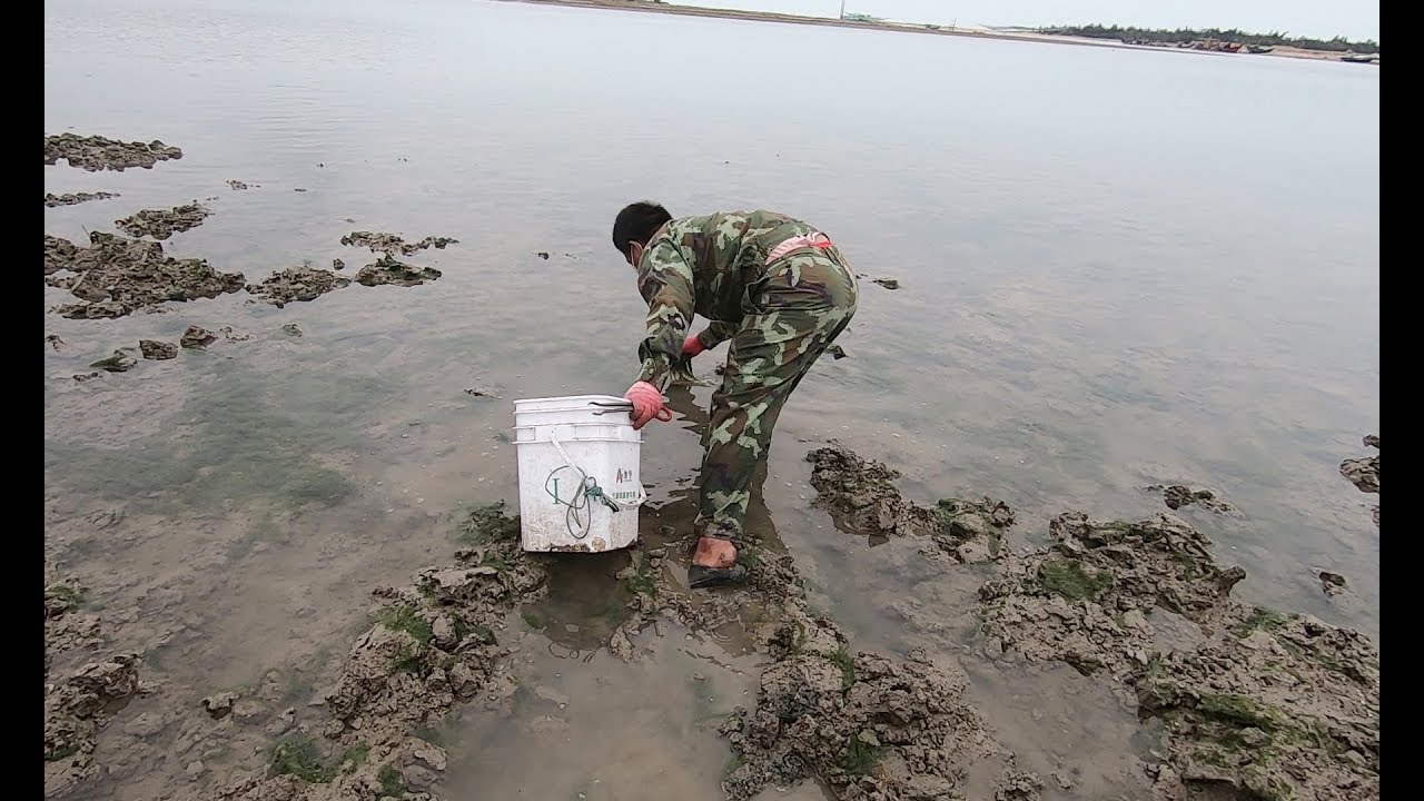 老四在堤坝布陷阱抓蟹，意外抓到一流的大补物，用来泡酒可是极品