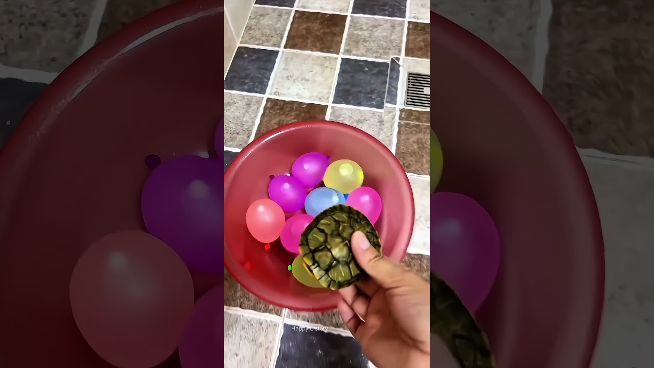 The turtle found its nest