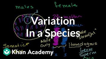 Variation in a Species