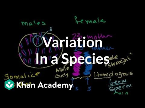 Variation in a Species