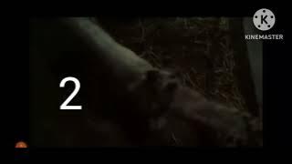 wild beasts slaughter house carnage count