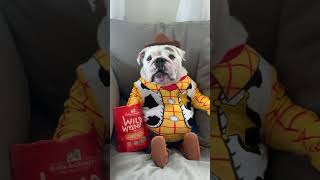 BICHOS COM NOMES ESTUPIDAMENTE ENGRAÇADOS #viral #cachorro #funny