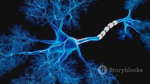 Unlocking the Brain: Neuroplasticity Explained!" In just 7 minutes