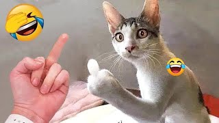 😆❤️ Best Cats and Dogs Videos 🐱😹 Best Funniest Animals Video 2024 #7