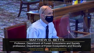 Dr. Matt Bett's Presentation To N B Standing Committee Examining Glyphosate Use In Forests