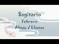 ♐SAGITARIO♐ ⚠️TE LLEGA POR SORPRESA⚠️ FEBRERO ALMAS/LLAMAS EXES PERSONA ESPECIAL