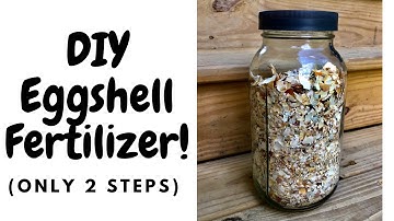 How to turn EGGSHELLS INTO FERTILIZER & prevent Blossom End Rot