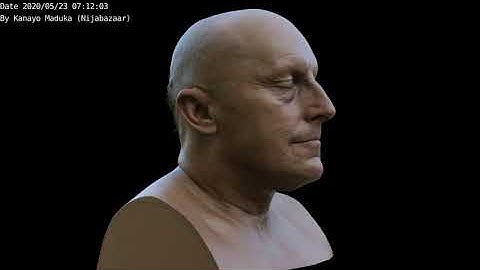 Head Disintegration with Houdini