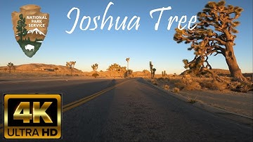 Riding Joshua Tree National Park.  Relaxing POV 4K motorcycle ride at sunrise (with music).