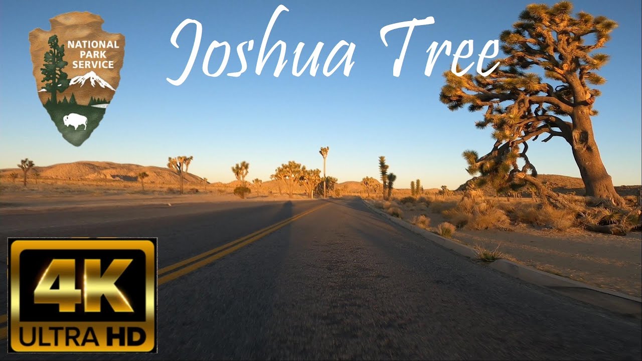 Riding Joshua Tree National Park.  Relaxing POV 4K motorcycle ride at sunrise (with music).