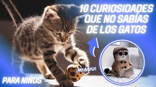 10 COSAS QUE NO SABÍAS DE LOS GATOS / PARA NIÑOS